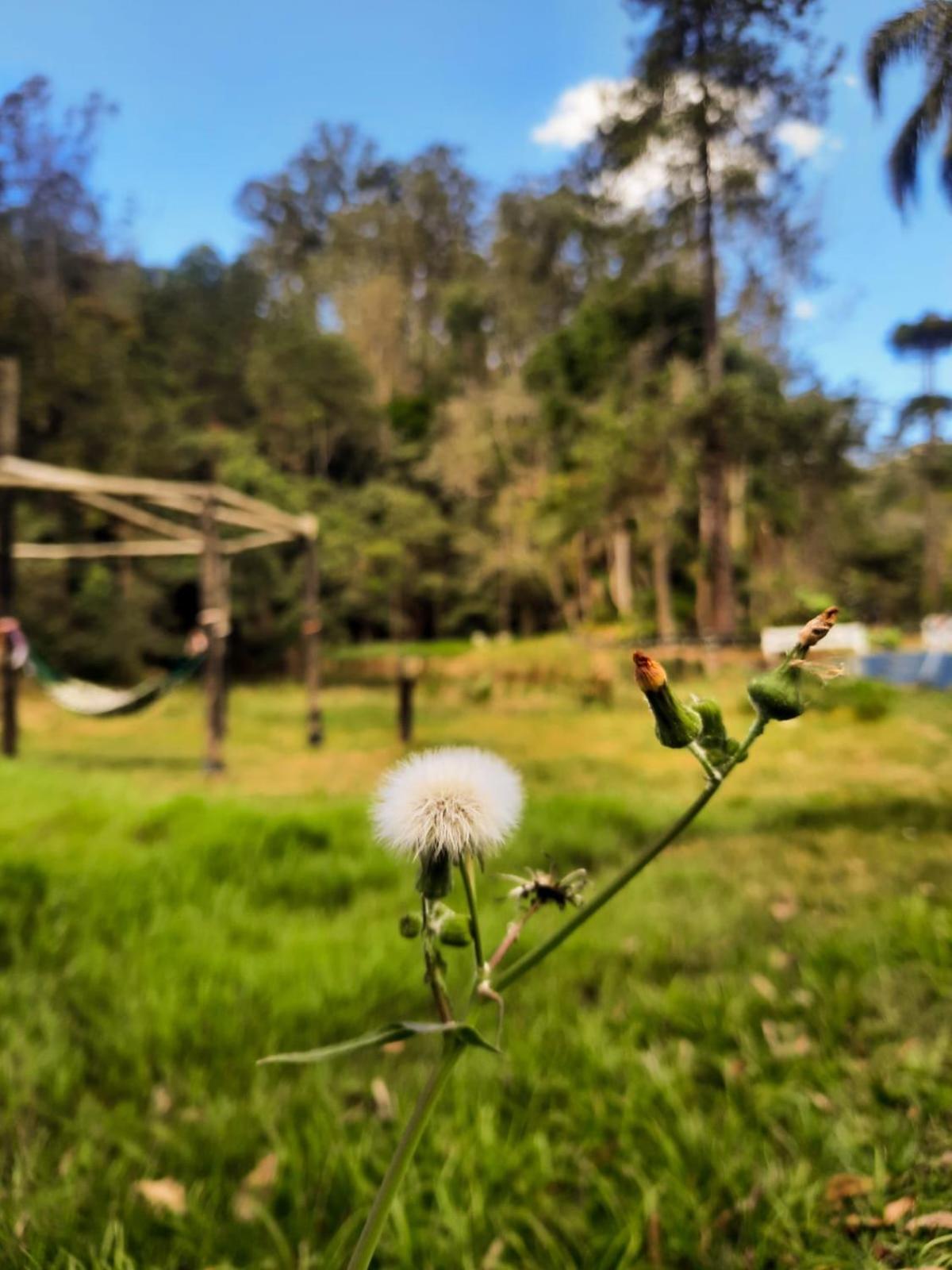 Pousada Pedra Grande Atibaia Dış mekan fotoğraf